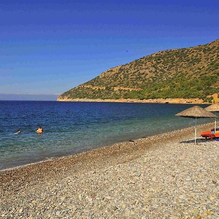 Melinda Pension & Restaurant Mesudiye  Εξωτερικό φωτογραφία