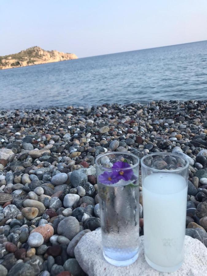 Melinda Pension & Restaurant Mesudiye  Εξωτερικό φωτογραφία