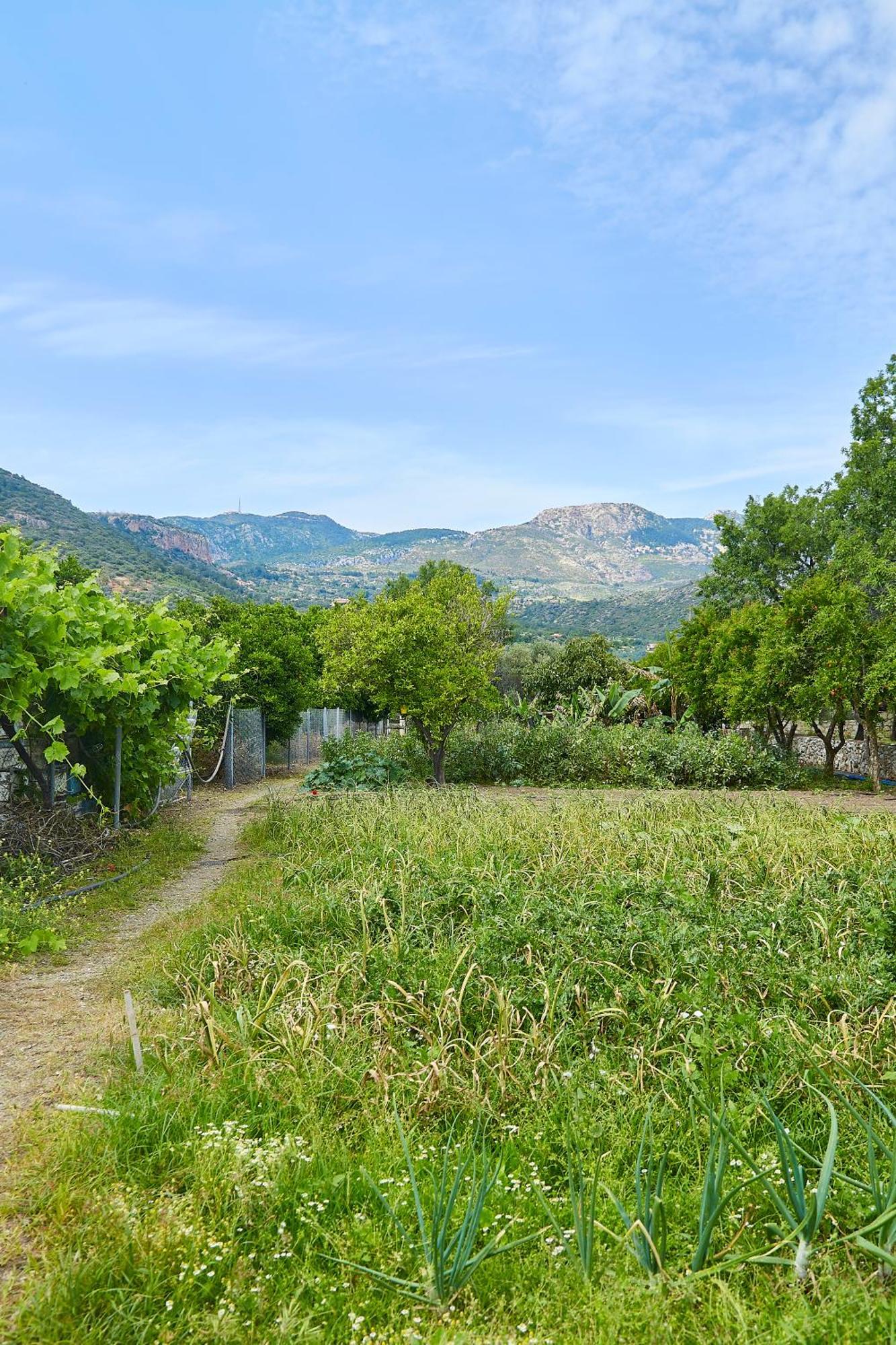Melinda Pension & Restaurant Mesudiye  Εξωτερικό φωτογραφία